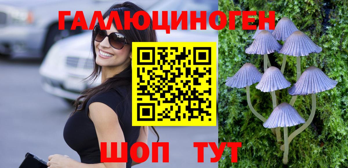 Псилоцибиновые грибы Азнакаево